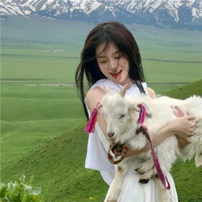 站前竞马